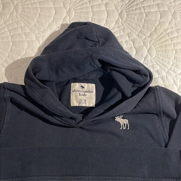 Abercrombie Kids Essential Icon Hoodie - size 13/14 - Picture 11 of 15